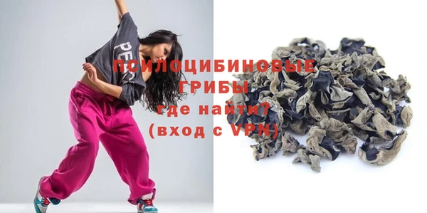 ECSTASY Алексин