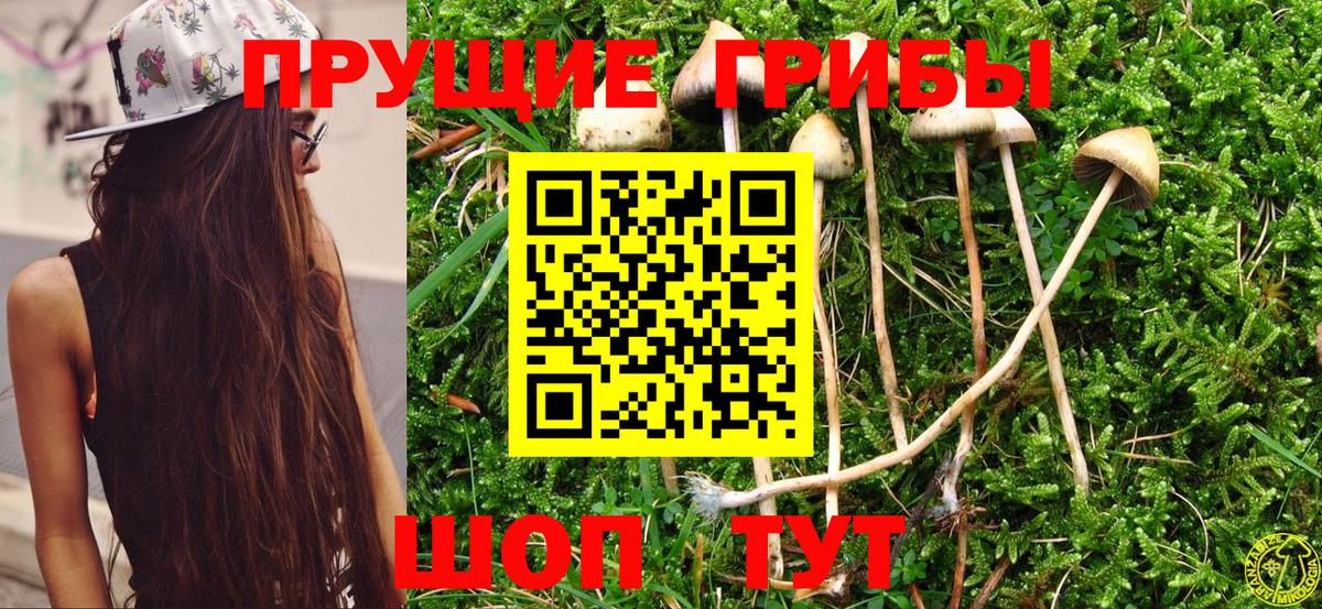 Арзамас  Псилоцибиновые грибы мухоморы  Вход с VPN 